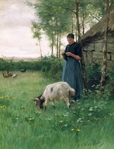 Uma menina holandesa com cabra e galinhas, c.1910